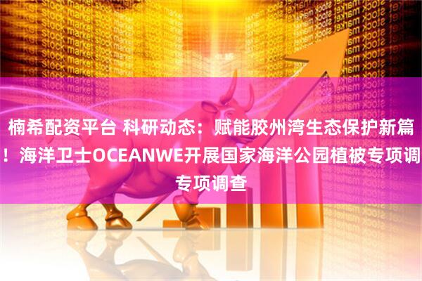 楠希配资平台 科研动态：赋能胶州湾生态保护新篇章！海洋卫士OCEANWE开展国家海洋公园植被专项调查