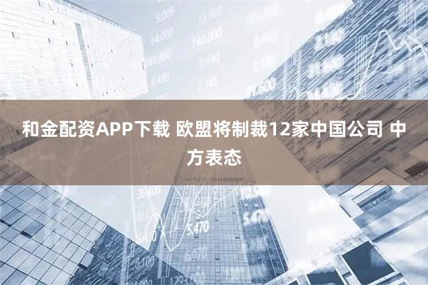 和金配资APP下载 欧盟将制裁12家中国公司 中方表态